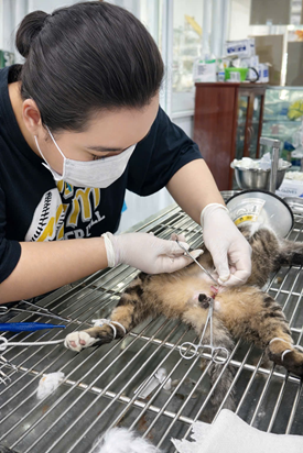 SINH VIÊN NGÀNH CHĂN NUÔI, KHOA NÔNG NGHIỆP VÀ THỦY SẢN, TRƯỜNG ĐẠI HỌC BẠC LIÊU HOÀN THÀNH THỰC ĐỢT THỰC TẬP TỐT NGHIỆP NĂM HỌC 2025 - 2026